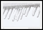Melting Icicles on our evestrough.  The iciciles are about 5 to 10 cm in length.