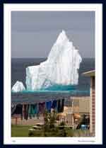 Iceberg from Blackhead Village